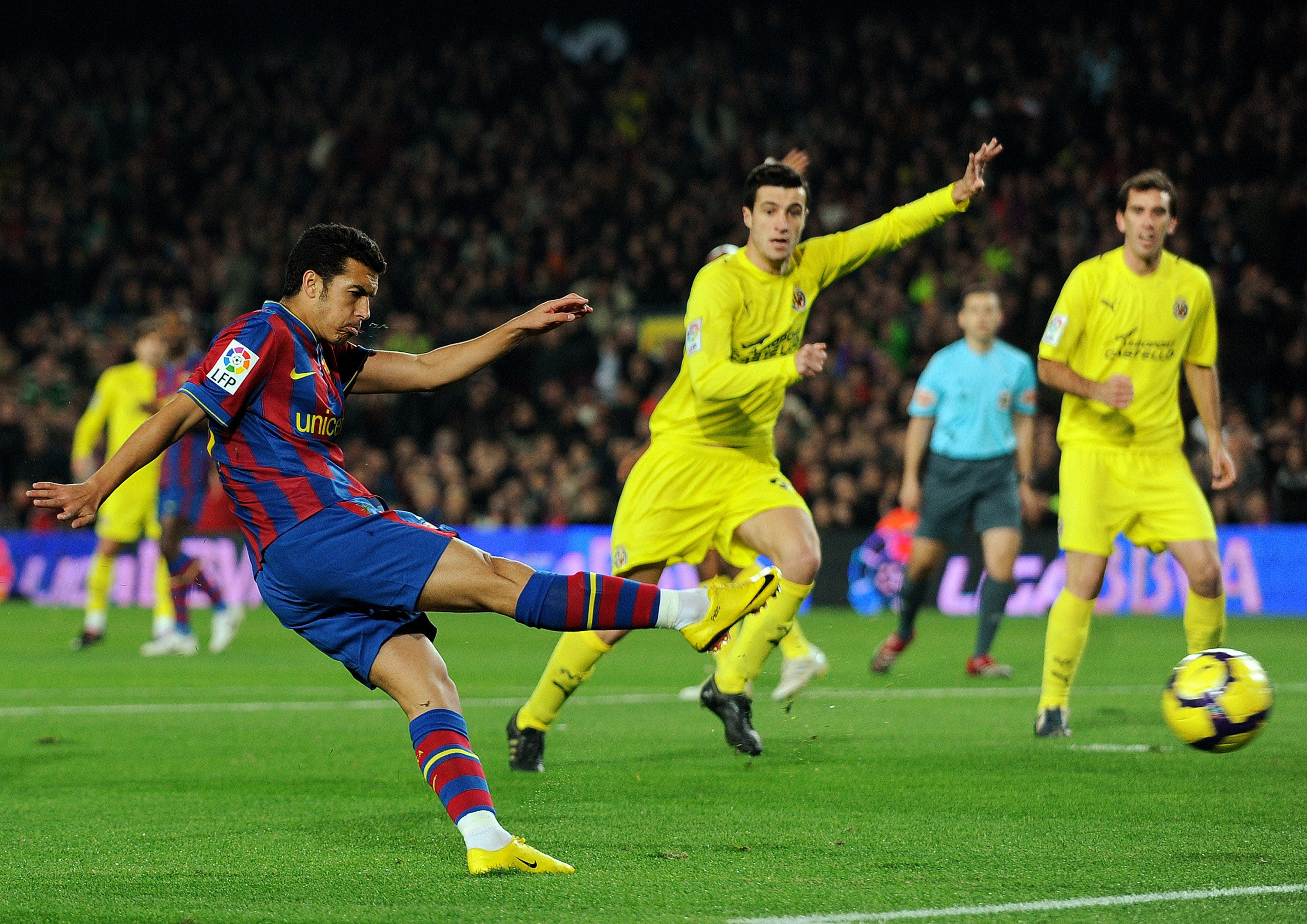 育培养模式 育培养模式